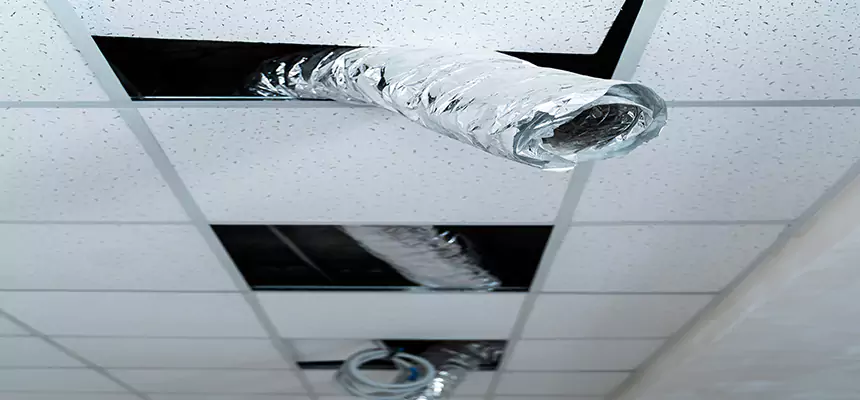 Our Air Duct Pet Hair Removal Services in Waco, TX