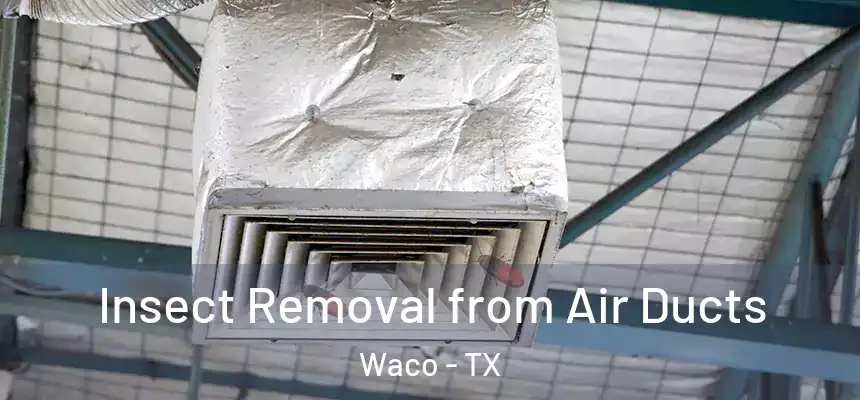 Insect Removal from Air Ducts Waco - TX