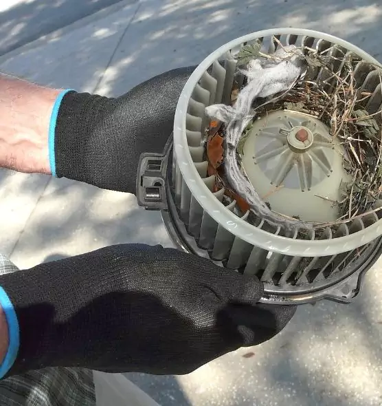 About Air Duct Mice Removal in Waco, TX