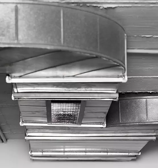 Professional Air Duct Pest Removal in Waco, TX