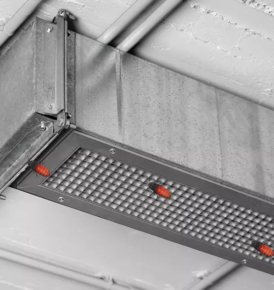 Affordable Insect Removal from Air Ducts in Waco, TX