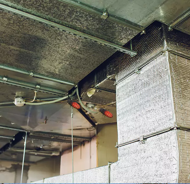 Why Homeowners & Businesses Trust Us in Waco, TX?