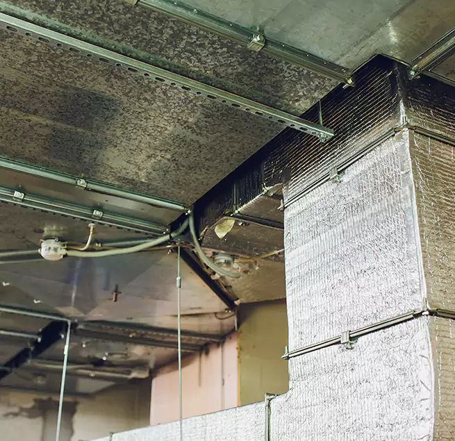 Why Homeowners & Businesses Trust Us in Waco, TX?